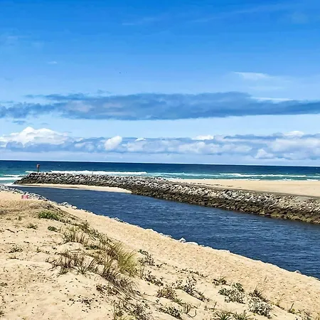 Les Hauts De La Corniche By Interhome Appartamento