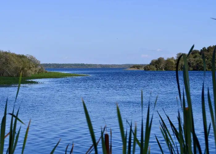 Les Hauts De La Corniche By Interhome Apartment Mimizan-Plage